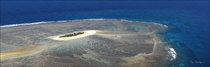 North Reef - QLD (PBH4 00 18444)